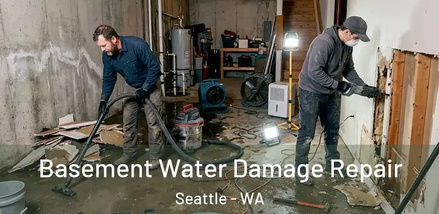 Basement Water Damage Repair Seattle - WA