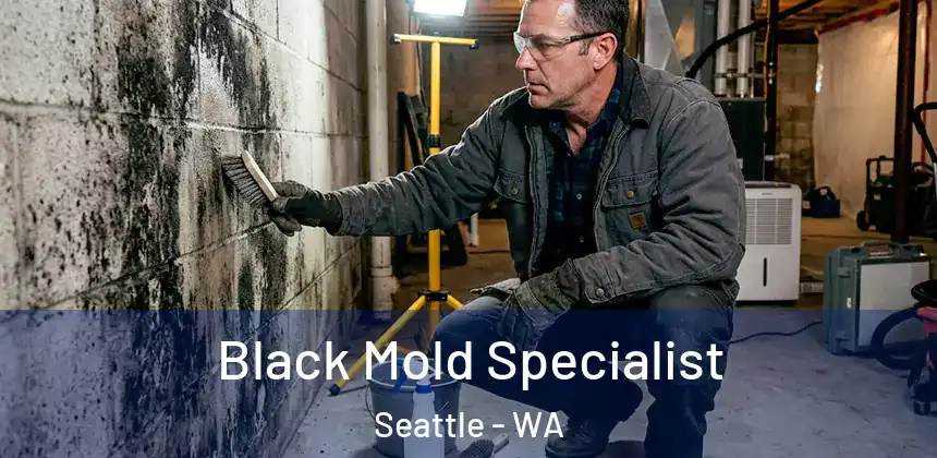 Black Mold Specialist Seattle - WA