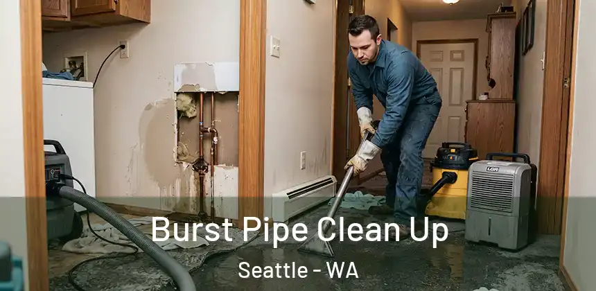 Burst Pipe Clean Up Seattle - WA