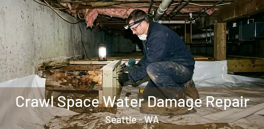 Crawl Space Water Damage Repair Seattle - WA