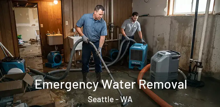 Emergency Water Removal Seattle - WA