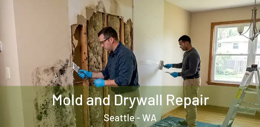 Mold and Drywall Repair Seattle - WA