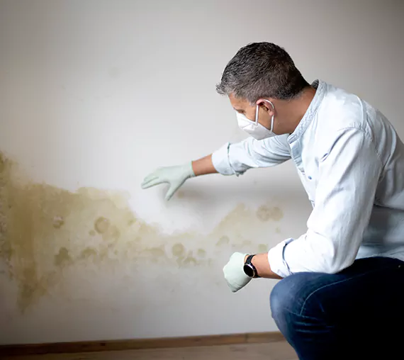 Mold Removal Service in Seattle, WA