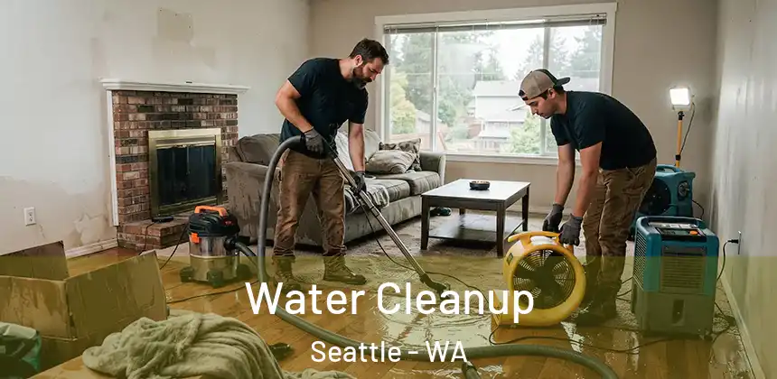 Water Cleanup Seattle - WA