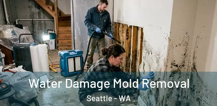 Water Damage Mold Removal Seattle - WA