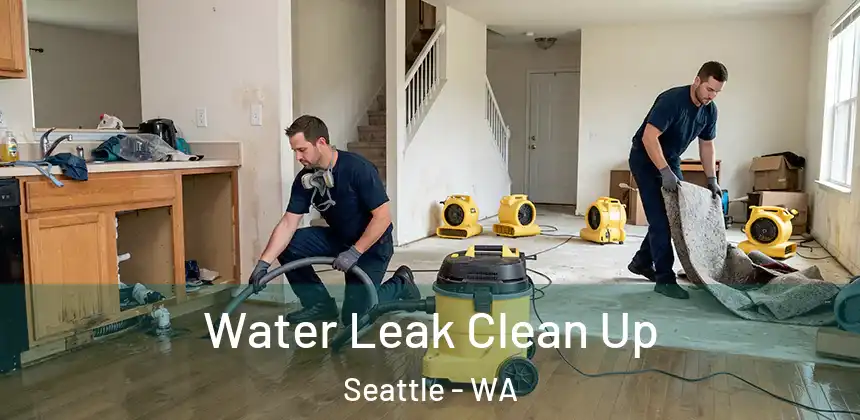 Water Leak Clean Up Seattle - WA