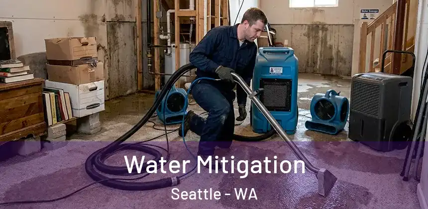 Water Mitigation Seattle - WA