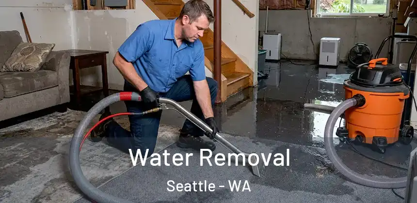 Water Removal Seattle - WA